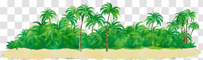 Palm Tree Background - Plant Stem Grass Transparent PNG