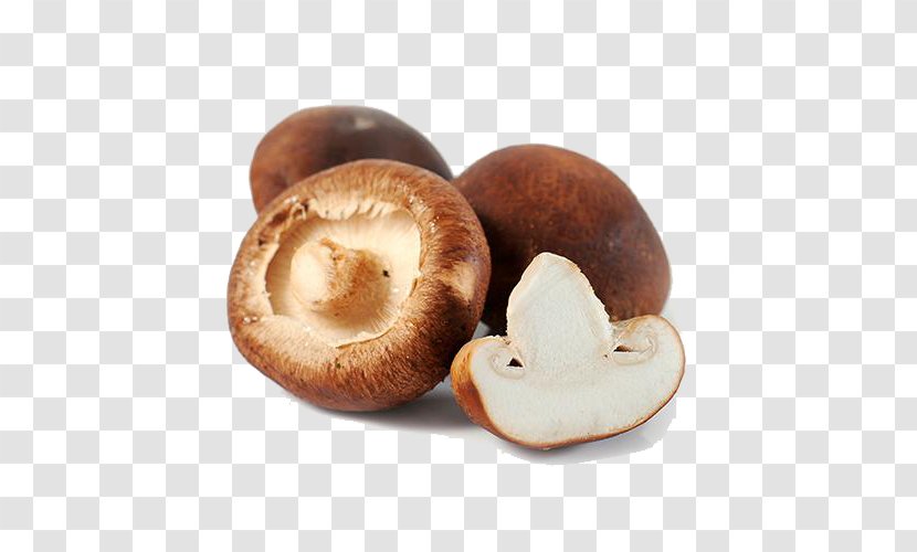 Hot Pot Bibimbap Mushroom Shiitake - Umami Transparent PNG