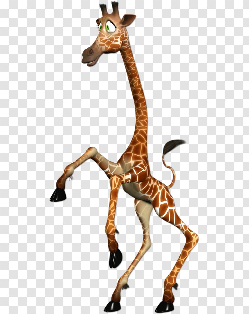 Northern Giraffe Neck Reticulated Clip Art - Mammal Transparent PNG