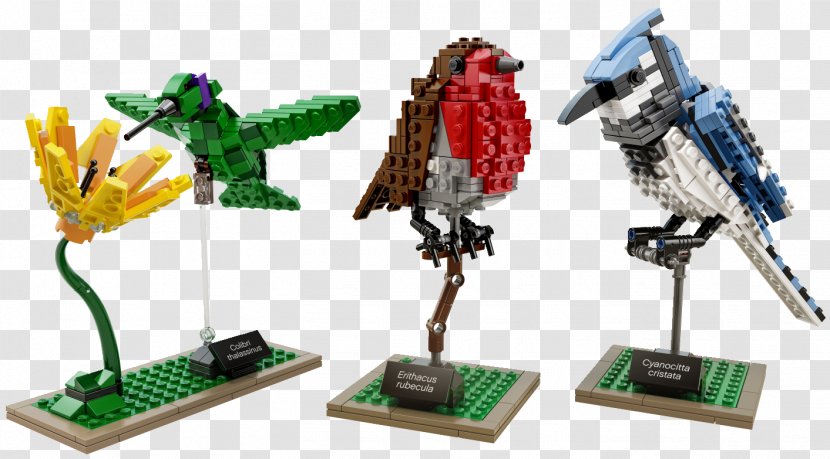 Lego Birds: Les Briques S'envolent Ideas Amazon.com Hummingbird - Bird Transparent PNG