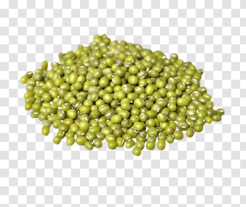 Sprouting Soybean Sprout Organic Food Mung Bean - Barley - Daal Transparent PNG