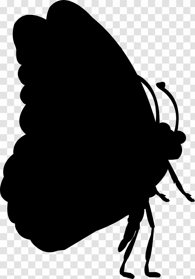 Insect Clip Art Silhouette Transparent PNG