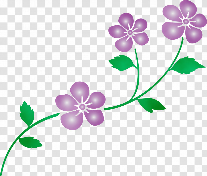 Flower Leaf Plant Violet Petal Transparent PNG
