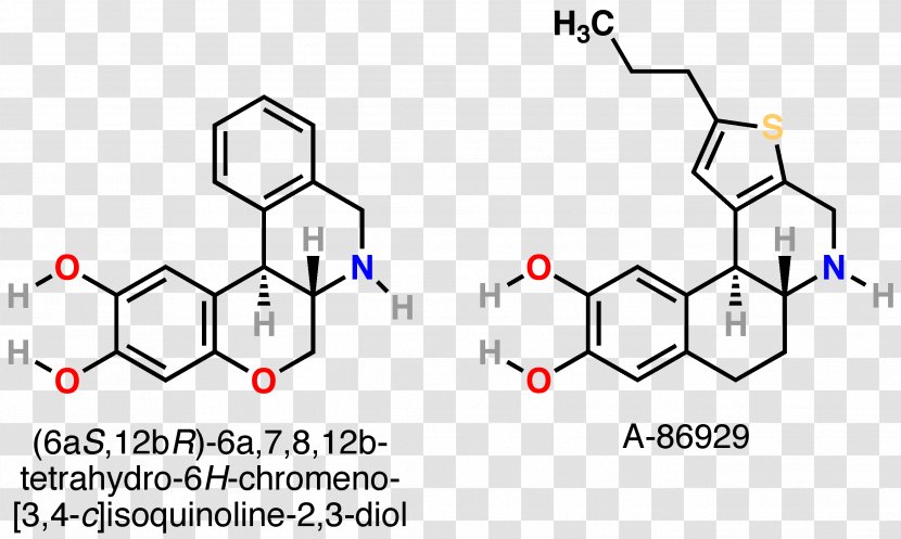 Dopamine Receptor D1 Estrogen - Heart - Silhouette Transparent PNG