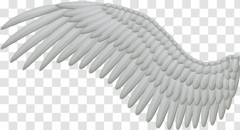 Clip Art - Hyperlink - Wings Transparent PNG