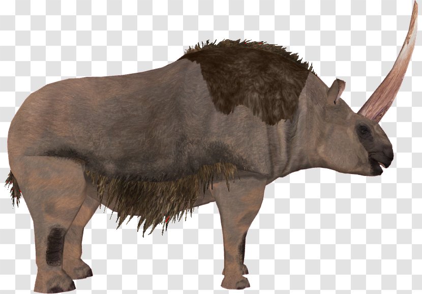 Elasmotherium Horned Gopher Bison Mammal - Deviantart - Ox Horn Transparent PNG