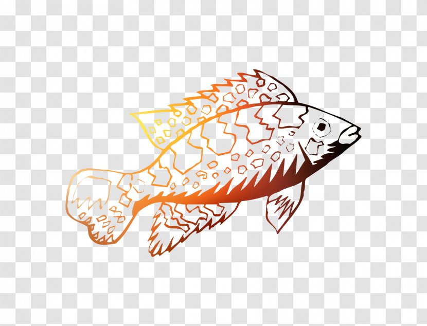 Clip Art Illustration Line Fish Orange S.A. - Sa Transparent PNG