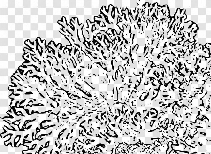 Coral Reef Megabyte Clip Art - Kilobyte - Underwater Illustration Transparent PNG