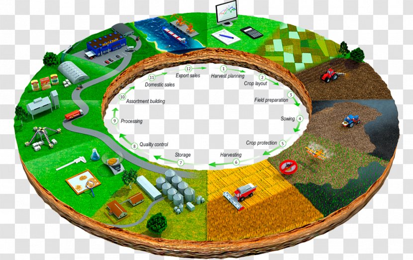 Agricultural Cycle Agriculture Production Crop - Productivity - Rice Field Transparent PNG