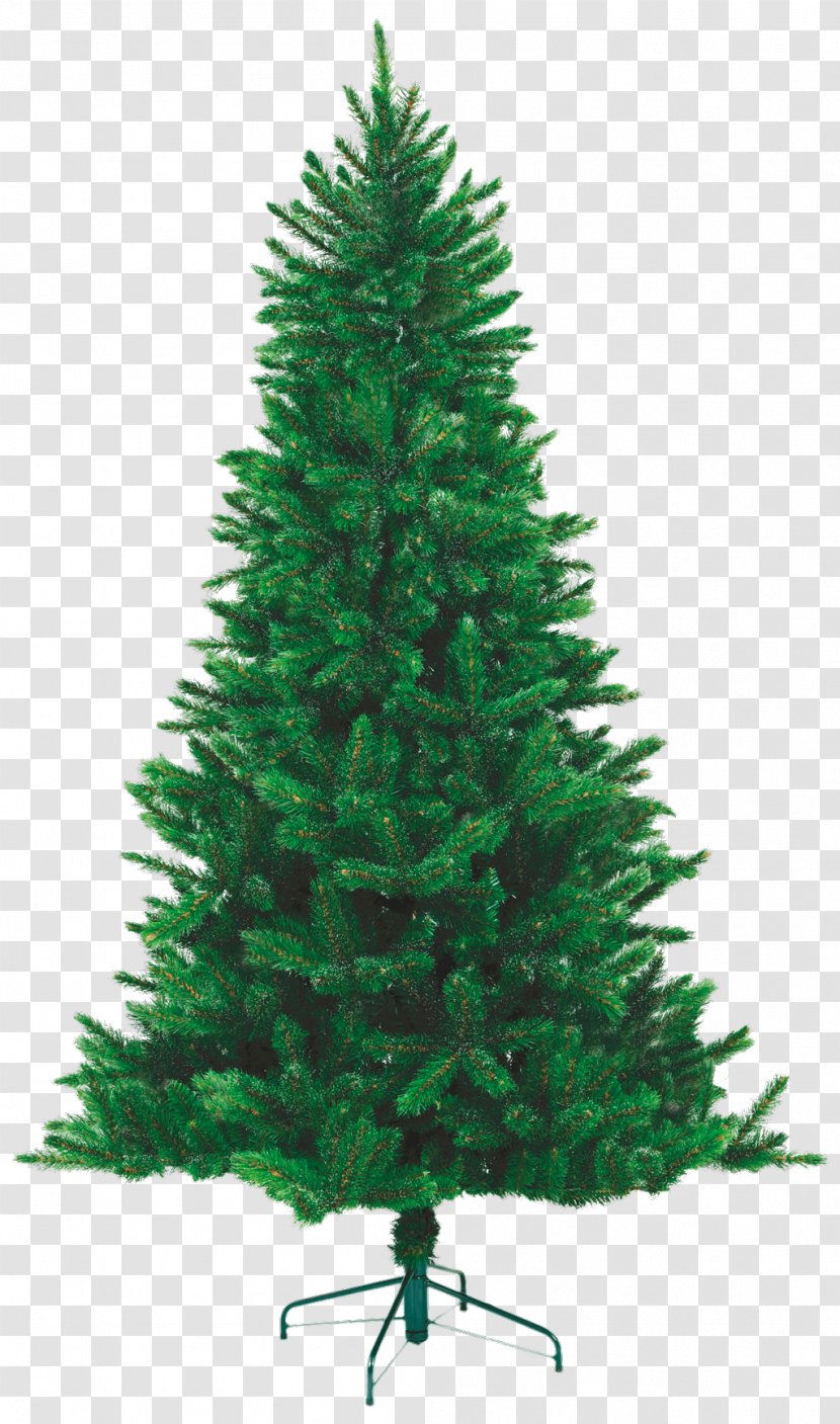 Needle Norway Spruce New Year Tree Green Pine - Fir-tree Transparent PNG