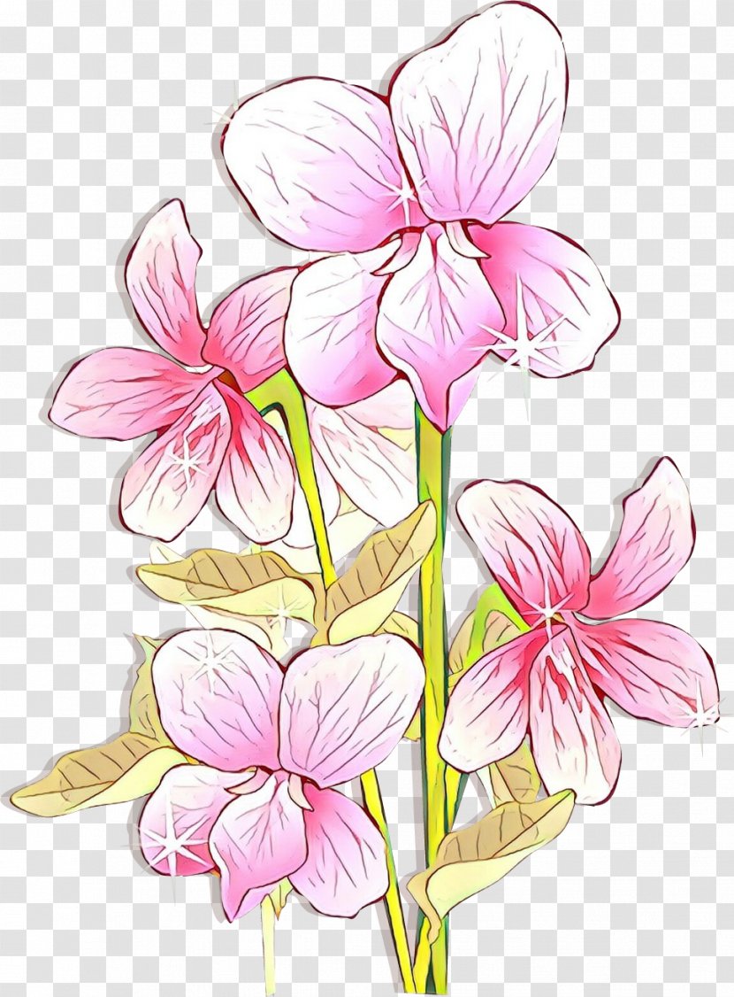 Flower Plant Pink Petal Pedicel - Stem - Cut Flowers Transparent PNG