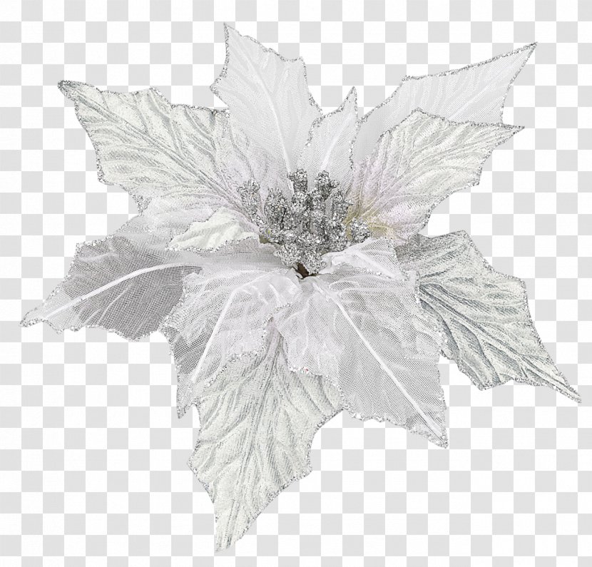 Christmas Poinsettia Flower Holiday New Year - Elf Transparent PNG