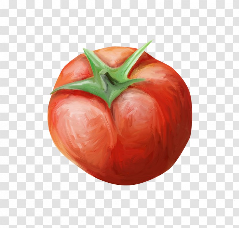 Tomato Vegetable Fruit Zxfcrcher Geschnetzeltes Chili Con Carne - Diet Food Transparent PNG