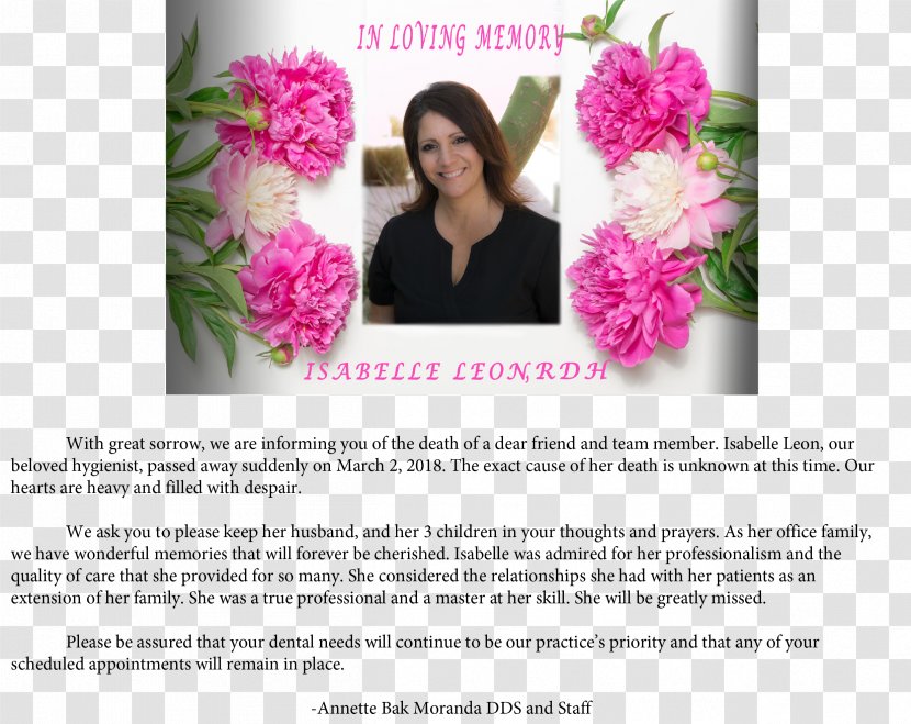 Bak Moranda Annette DDS Rose Cut Flowers Floral Design - Dentist Transparent PNG