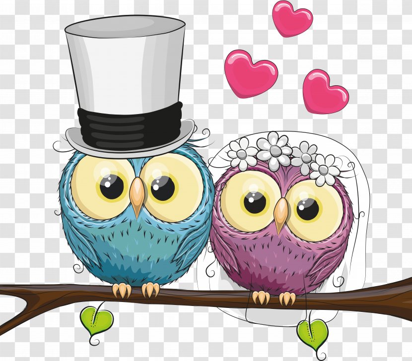 Marriage Drawing Love Royalty-free - Bird Of Prey - Owls Transparent PNG