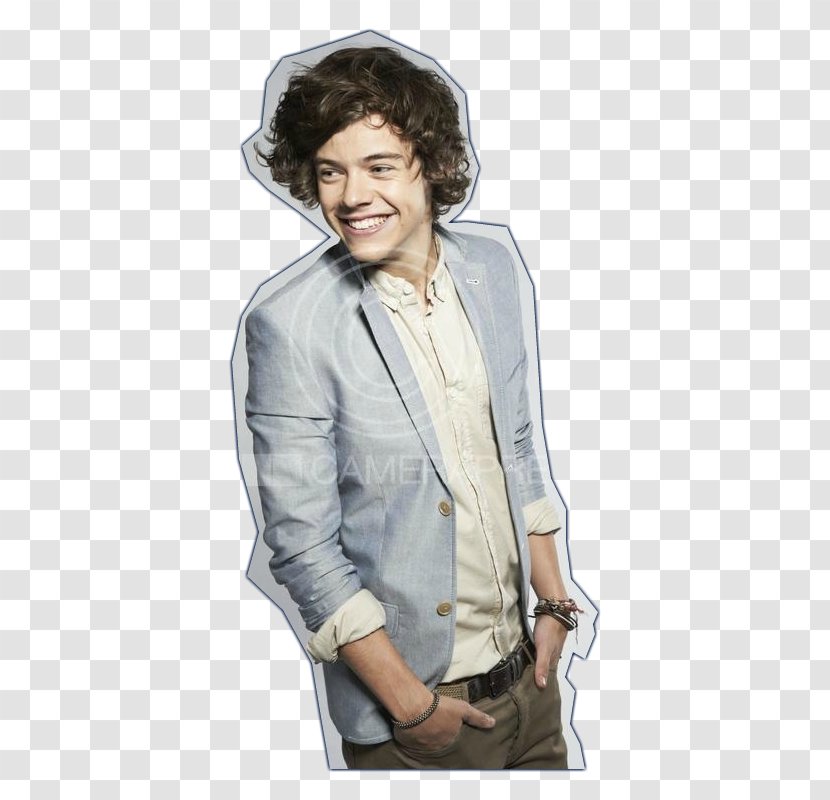 Harry Styles Photography One Direction - Cartoon Transparent PNG