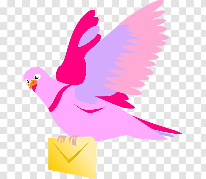 English Carrier Pigeon Columbidae Clip Art - King - Clipart Transparent PNG