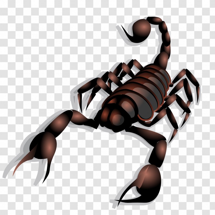 Scorpion Drawing Clip Art - Stinger Transparent PNG