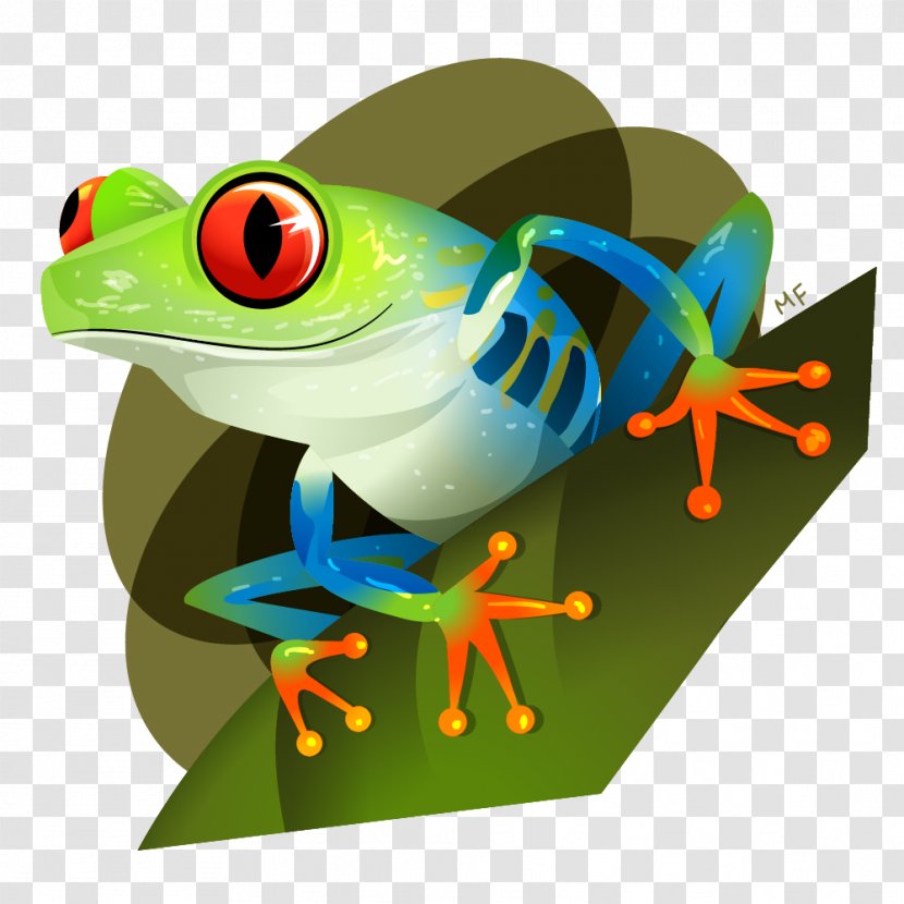 Red-eyed Tree Frog True Red Eye - Ranidae Transparent PNG