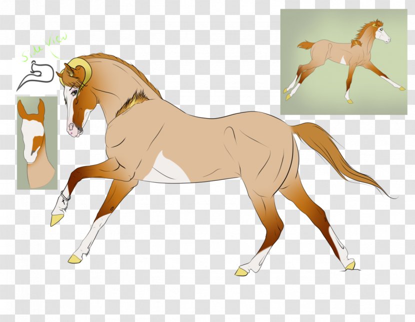 Foal Mane Stallion Mustang Colt - Horse Transparent PNG
