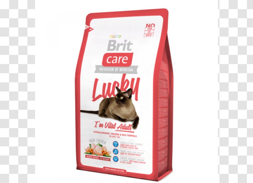 Cat Food Kitten Raw Feeding Dog - Castration Transparent PNG