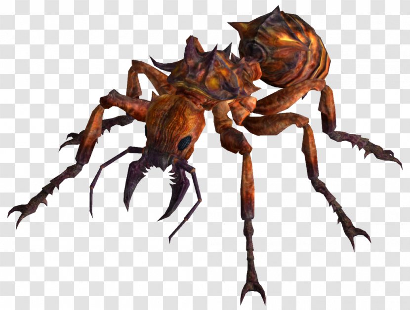Fallout: New Vegas Fallout 3 4 Wasteland Ant - Insect - Ants Transparent PNG