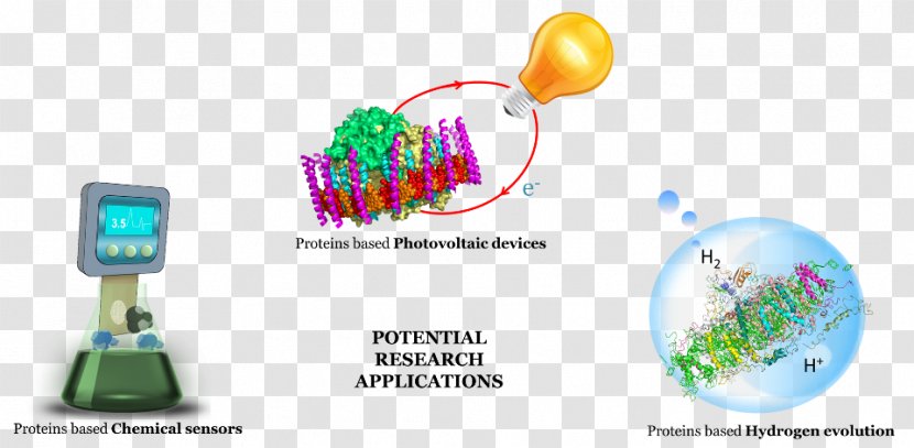 Photosynthesis Solar Energy Conversion Research - Phototrophic Prokaryotes Transparent PNG