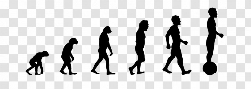 Human Evolution Neanderthal Wall Decal - Humans - Hoverboard Back To The Future Transparent PNG