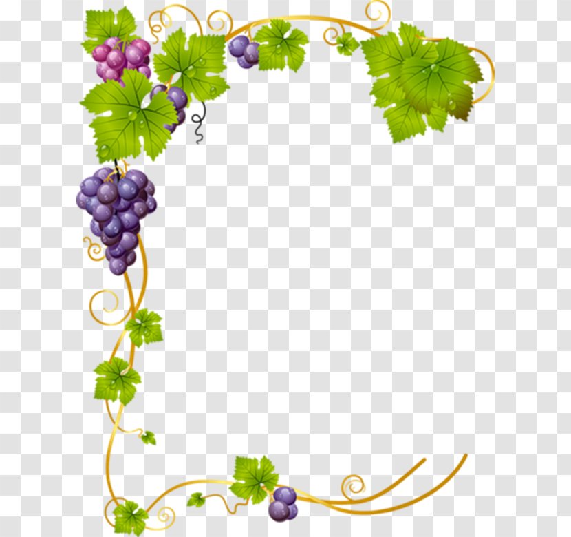 Common Grape Vine Vector Graphics Clip Art Stock Illustration - Floral Design Transparent PNG