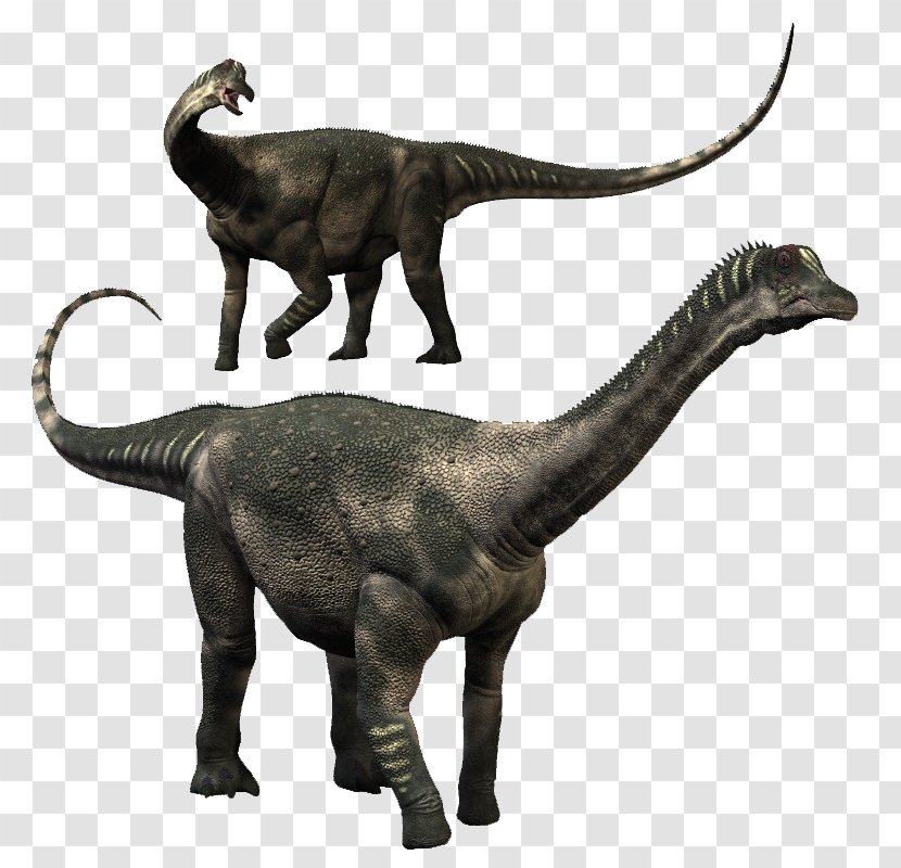 Velociraptor Antarctosaurus Dinosaur King Ampelosaurus Tyrannosaurus - Tail Transparent PNG