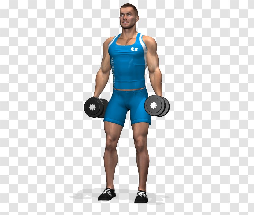 Shoulder Squat Dumbbell Upright Row Biceps Curl - Silhouette Transparent PNG