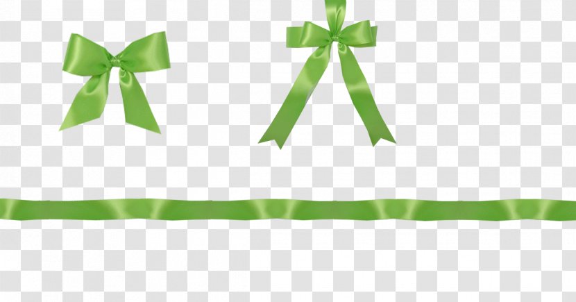 Line Ribbon - Green - Granny Transparent PNG