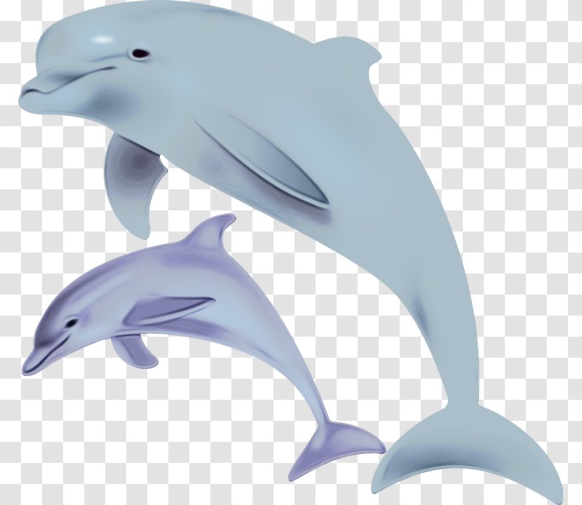 Dolphin Cartoon - Striped - Porpoise Transparent PNG
