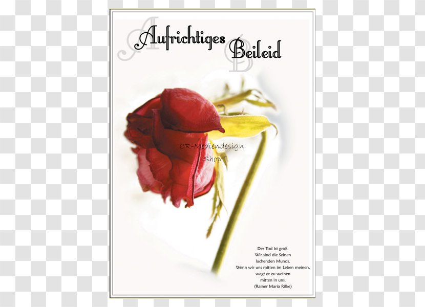 Condolences Greeting & Note Cards Beileidskarte Garden Roses Post - Text Poster Transparent PNG