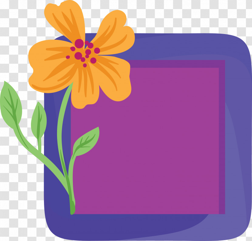 Flower Photo Frame Flower Frame Photo Frame Transparent PNG