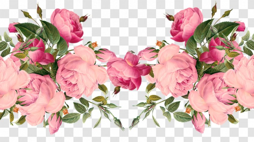 Rose Floral Design Flower Clip Art - Wreath Transparent PNG