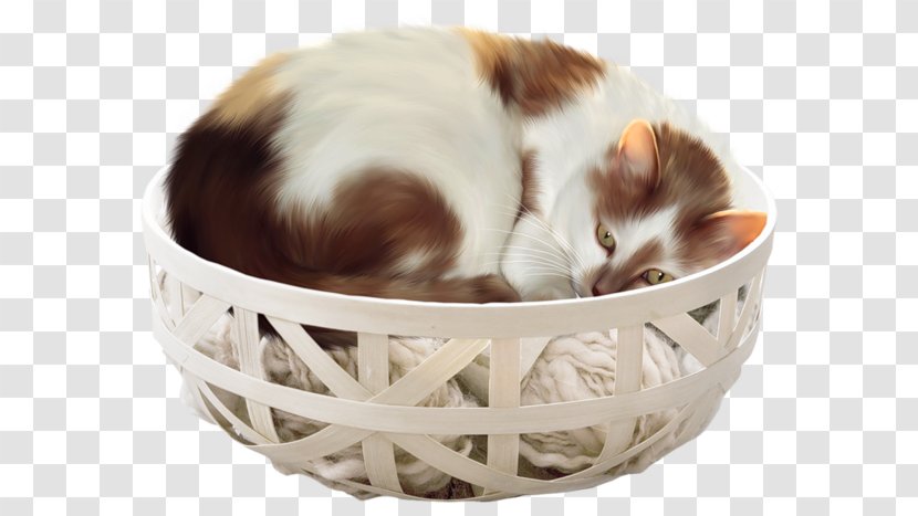 Cat Kitten Diary Clip Art - Small To Medium Sized Cats - Basket Sleeping Transparent PNG