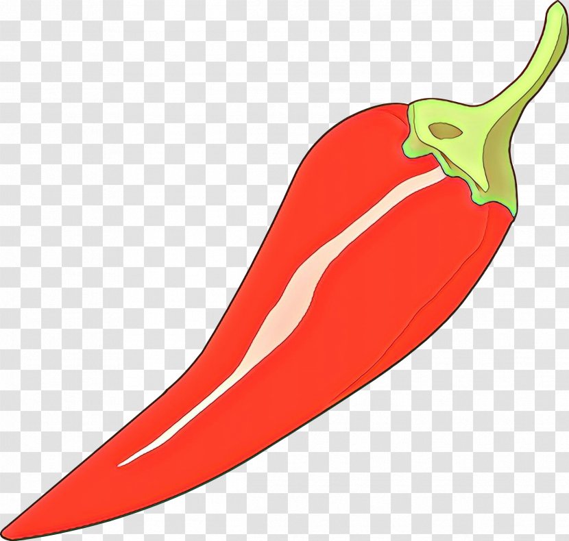 Vegetable Cartoon - Malagueta Pepper - Food Nightshade Family Transparent PNG