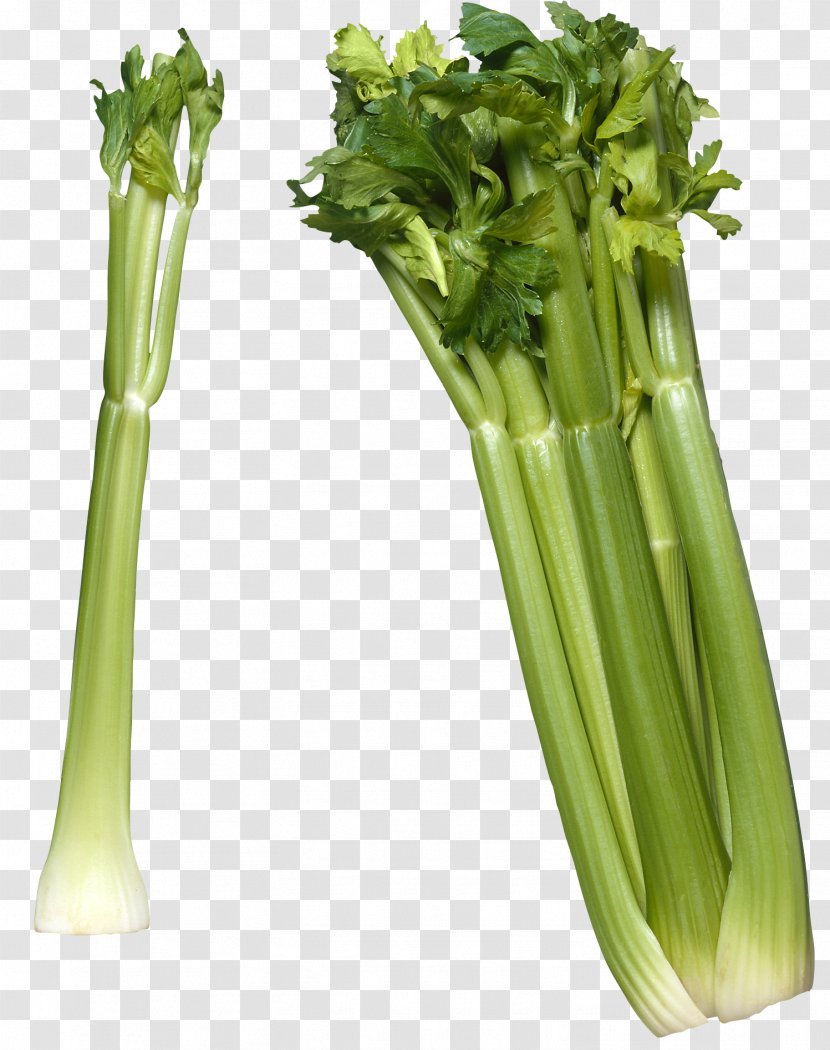 Celery Raw Foodism Vegetable Celeriac Clip Art - Welsh Onion Transparent PNG