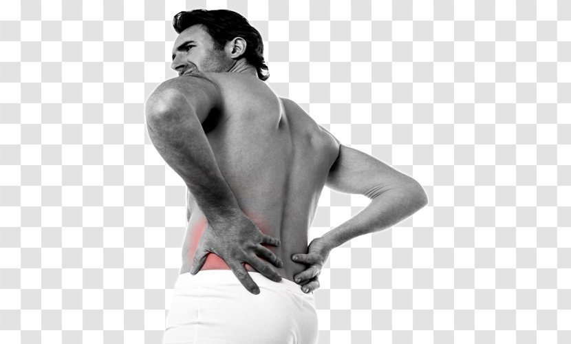 Back Pain Human Joint Neck Injury - Tree Transparent PNG