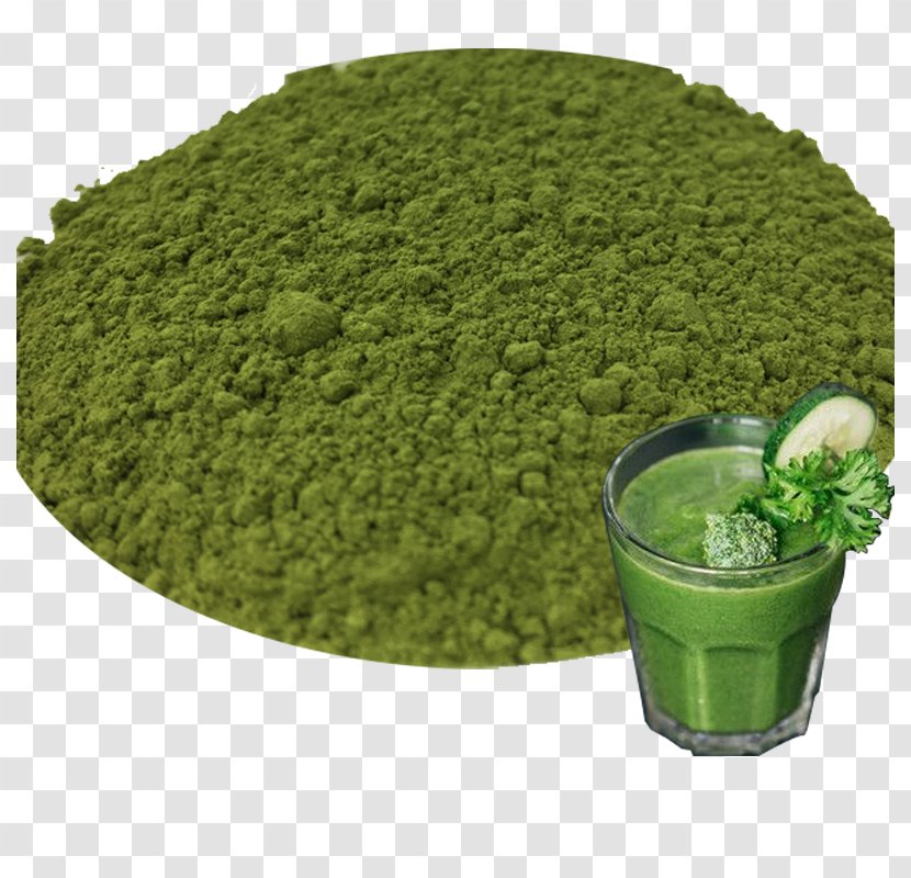 Ice Cream Wholesale Matcha Green Tea - Superfood - Design Transparent PNG