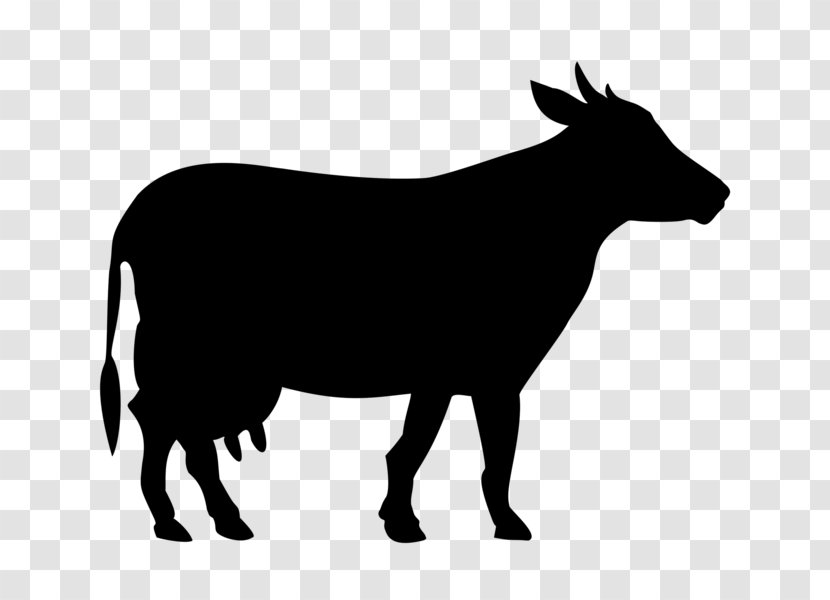 Welsh Black Cattle White Park Holstein Friesian Beef Taurine - Horn - Sheep Transparent PNG