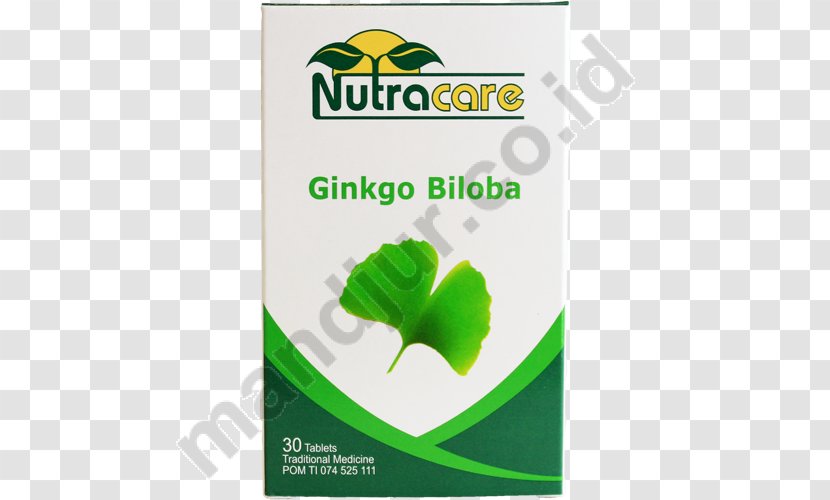 Drug Obat Tradisional Health Joint Pain Pharmacy - Ginkgo-biloba Transparent PNG