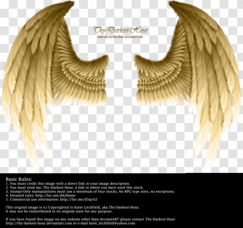 Devil Layers - Neck - Angel Wings Transparent PNG
