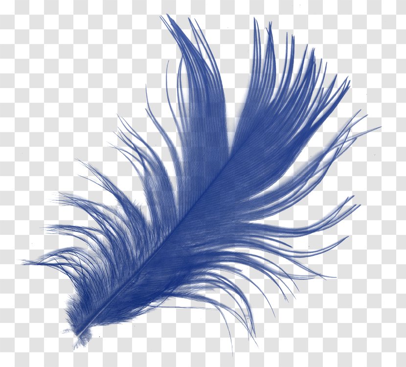 Desktop Wallpaper Display Resolution Drawing - Feather Transparent PNG