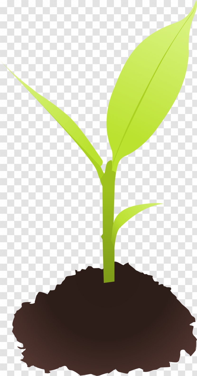 Seedling Sprouting Clip Art - Plant Transparent PNG