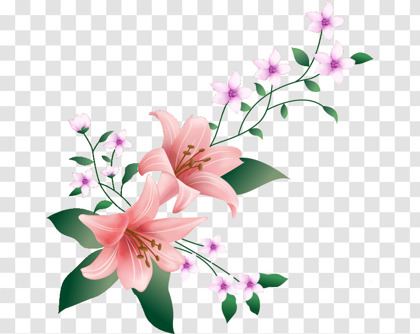 Lily Flower Transparent PNG