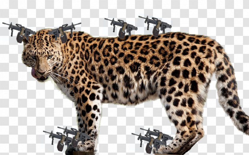Felidae Jaguar Cheetah African Leopard - Animal Figure Transparent PNG