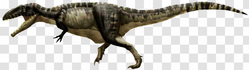 Tyrannosaurus Giganotosaurus Velociraptor Carcharodontosaurus Late Cretaceous - Dinosaur Transparent PNG