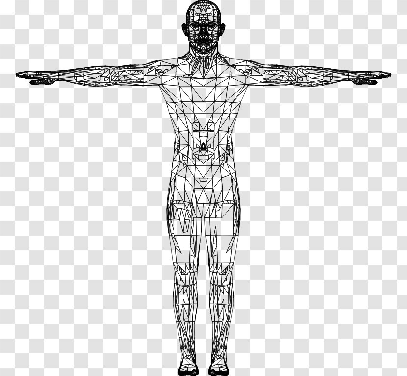 Human Body Algorithm Clip Art: Transportation Homo Sapiens Anatomy - Silhouette - Low Poly Character Transparent PNG